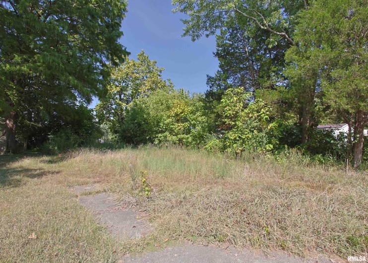 123 Pulley Street, Hurst, Illinois 62949, 0 , 0 ,0,Land,For Sale,Pulley,0,RMAEB459666