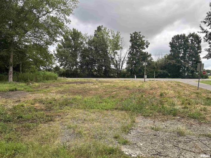 1207 Gentile Street, Colp, Illinois 62921, 0 , 0 ,0,Land,For Sale,Gentile,0,RMAEB459667