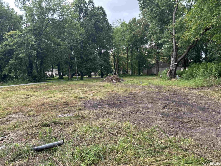 1207 Gentile Street, Colp, Illinois 62921, 0 , 0 ,0,Land,For Sale,Gentile,0,RMAEB459667