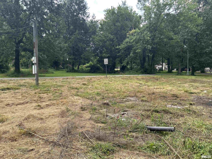 1207 Gentile Street, Colp, Illinois 62921, 0 , 0 ,0,Land,For Sale,Gentile,0,RMAEB459667