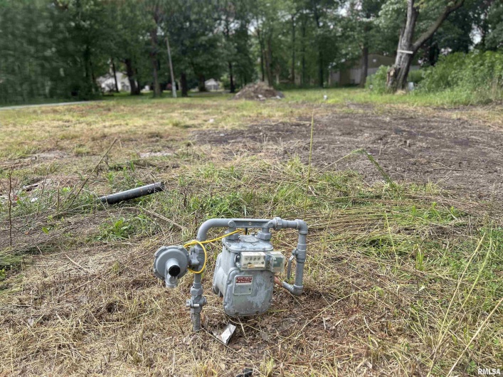 1207 Gentile Street, Colp, Illinois 62921, 0 , 0 ,0,Land,For Sale,Gentile,0,RMAEB459667