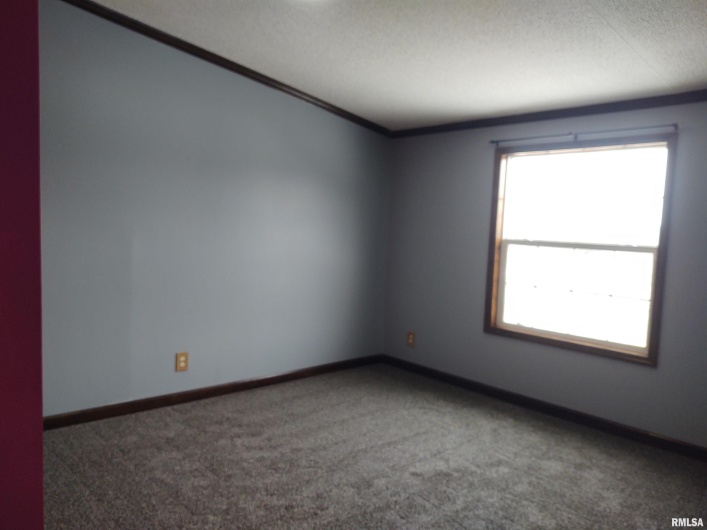 85 Bethlehem Church Lane, Vienna, Illinois 62995, 4 Bedrooms Bedrooms, 0 ,3 BathroomsBathrooms,Residential,For Sale,Bethlehem Church,0,RMAEB456825