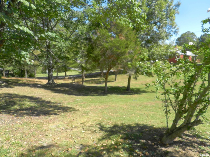 316 WILLIAMS Street, Rosiclare, Illinois 62982, 3 Bedrooms Bedrooms, 0 ,2 BathroomsBathrooms,Residential,For Sale,WILLIAMS,0,RMAEB459689