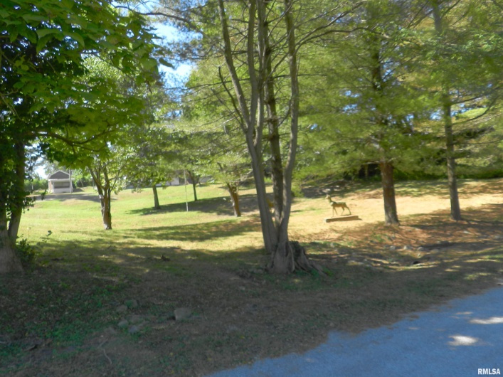316 WILLIAMS Street, Rosiclare, Illinois 62982, 3 Bedrooms Bedrooms, 0 ,2 BathroomsBathrooms,Residential,For Sale,WILLIAMS,0,RMAEB459689
