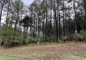LOT 122&123 DEER Lane, Goreville, Illinois 62939, 0 , 0 ,0,Land,For Sale,DEER,0,RMAEB457440