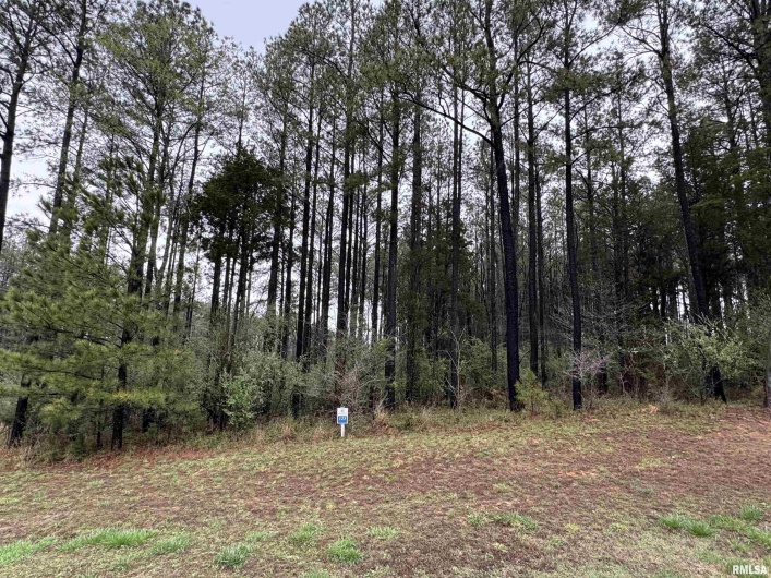LOT 122&123 DEER Lane, Goreville, Illinois 62939, 0 , 0 ,0,Land,For Sale,DEER,0,RMAEB457440