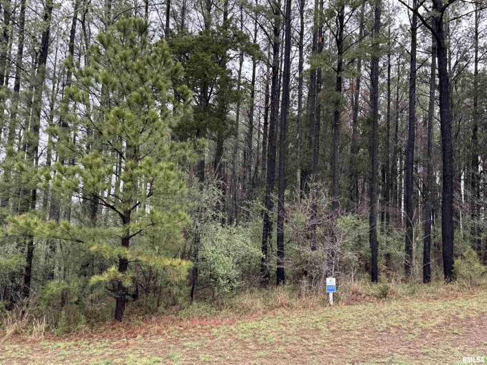 LOT 122&123 DEER Lane, Goreville, Illinois 62939, 0 , 0 ,0,Land,For Sale,DEER,0,RMAEB457440