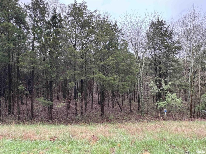 Lot 347 Clifty Lane, Goreville, Illinois 62939, 0 , 0 ,0,Land,For Sale,Clifty,0,RMAEB457437