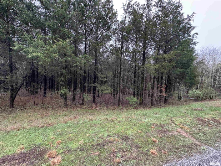 Lot 347 Clifty Lane, Goreville, Illinois 62939, 0 , 0 ,0,Land,For Sale,Clifty,0,RMAEB457437