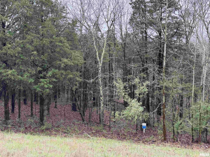 Lot 347 Clifty Lane, Goreville, Illinois 62939, 0 , 0 ,0,Land,For Sale,Clifty,0,RMAEB457437