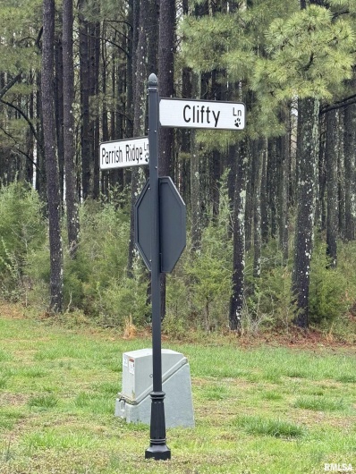 Lot 347 Clifty Lane, Goreville, Illinois 62939, 0 , 0 ,0,Land,For Sale,Clifty,0,RMAEB457437