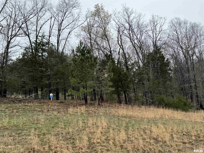 LOT 365&366 Clifty Lane, Goreville, Illinois 62939, 0 , 0 ,0,Land,For Sale,Clifty,0,RMAEB457438