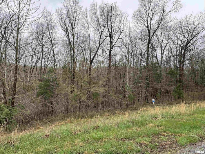 LOT 365&366 Clifty Lane, Goreville, Illinois 62939, 0 , 0 ,0,Land,For Sale,Clifty,0,RMAEB457438