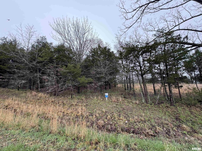 LOT 365&366 Clifty Lane, Goreville, Illinois 62939, 0 , 0 ,0,Land,For Sale,Clifty,0,RMAEB457438