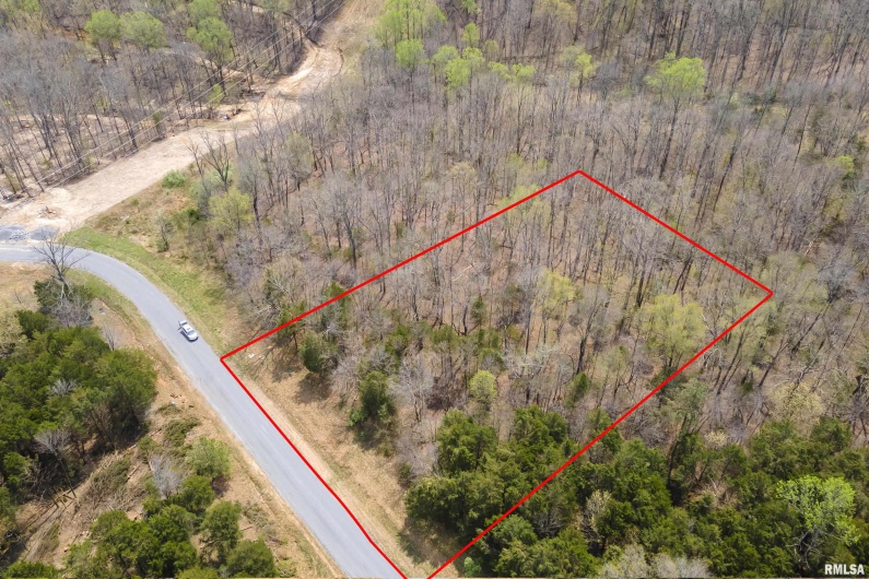 LOT 341&342 Clifty Lane, Goreville, Illinois 62939, 0 , 0 ,0,Land,For Sale,Clifty,0,RMAEB457439