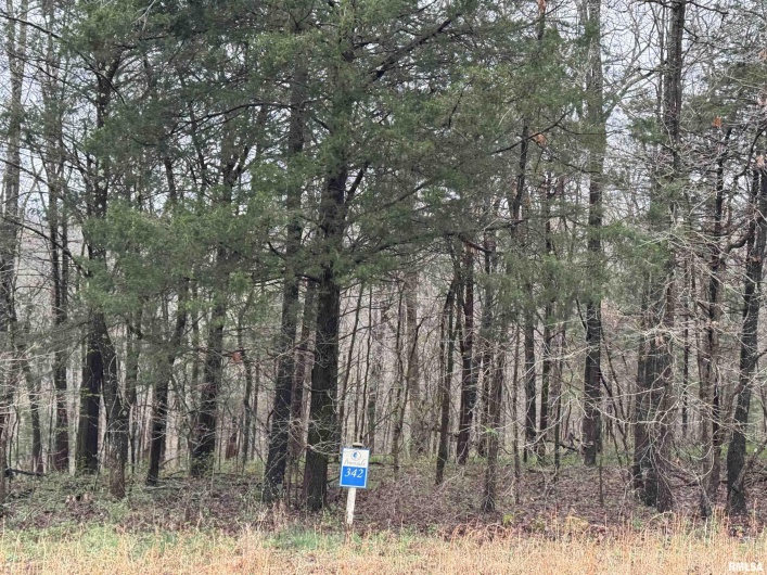 LOT 341&342 Clifty Lane, Goreville, Illinois 62939, 0 , 0 ,0,Land,For Sale,Clifty,0,RMAEB457439
