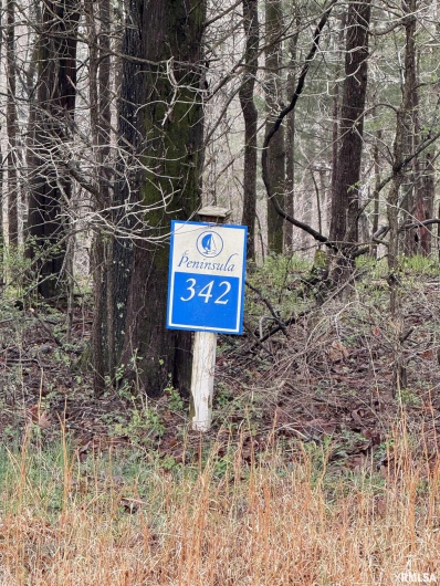LOT 341&342 Clifty Lane, Goreville, Illinois 62939, 0 , 0 ,0,Land,For Sale,Clifty,0,RMAEB457439