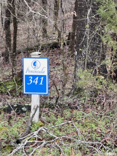 LOT 341&342 Clifty Lane, Goreville, Illinois 62939, 0 , 0 ,0,Land,For Sale,Clifty,0,RMAEB457439