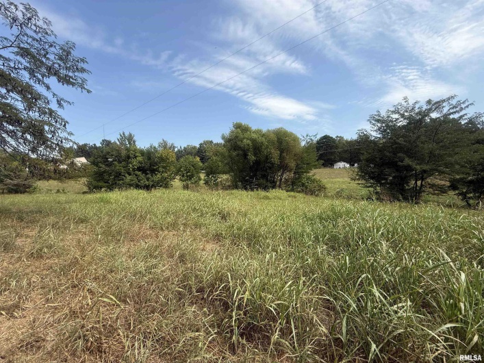 00 Wood Road, Murphysboro, Illinois 62966, 0 , 0 ,0,Land,For Sale,Wood,0,RMAEB459705