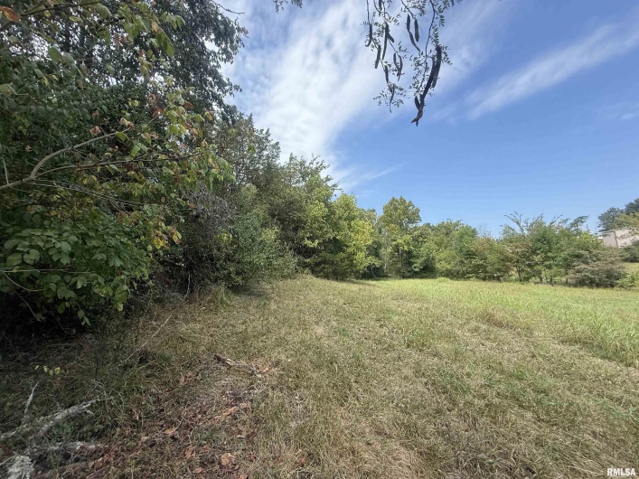 00 Wood Road, Murphysboro, Illinois 62966, 0 , 0 ,0,Land,For Sale,Wood,0,RMAEB459705