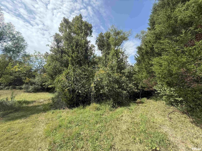 00 Wood Road, Murphysboro, Illinois 62966, 0 , 0 ,0,Land,For Sale,Wood,0,RMAEB459705