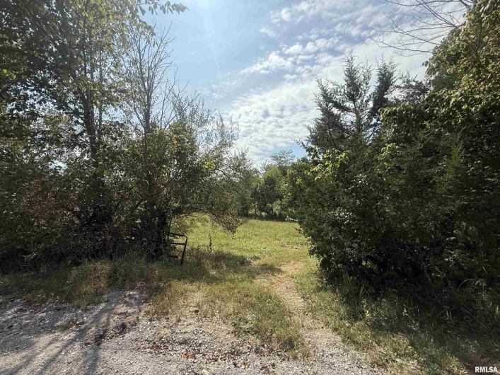 00 Wood Road, Murphysboro, Illinois 62966, 0 , 0 ,0,Land,For Sale,Wood,0,RMAEB459705