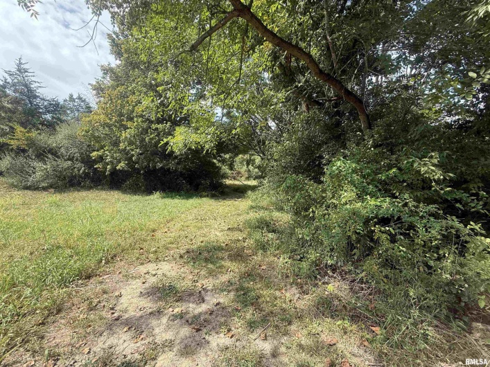 00 Wood Road, Murphysboro, Illinois 62966, 0 , 0 ,0,Land,For Sale,Wood,0,RMAEB459705