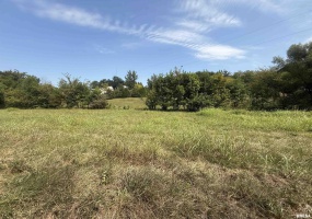 00 Wood Road, Murphysboro, Illinois 62966, 0 , 0 ,0,Land,For Sale,Wood,0,RMAEB459705