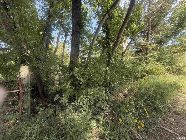 00 Wood Road, Murphysboro, Illinois 62966, 0 , 0 ,0,Land,For Sale,Wood,0,RMAEB459705