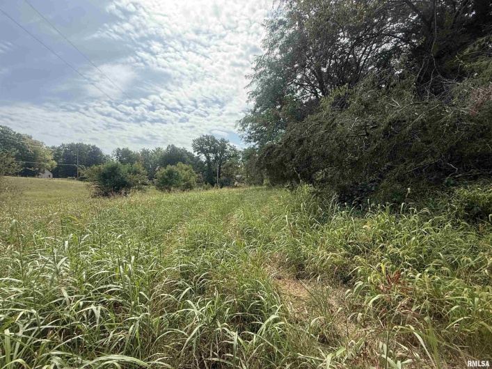 00 Wood Road, Murphysboro, Illinois 62966, 0 , 0 ,0,Land,For Sale,Wood,0,RMAEB459705