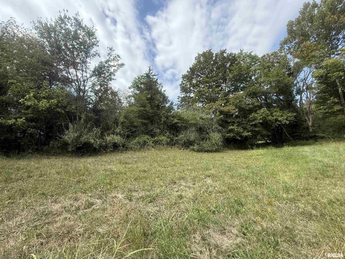 00 Wood Road, Murphysboro, Illinois 62966, 0 , 0 ,0,Land,For Sale,Wood,0,RMAEB459705