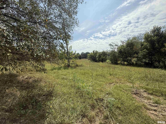 00 Wood Road, Murphysboro, Illinois 62966, 0 , 0 ,0,Land,For Sale,Wood,0,RMAEB459705