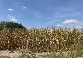 15905 Highway 127 Road, Murphysboro, Illinois 62966, 0 , 0 ,0,Land,For Sale,Highway 127,0,RMAEB459725