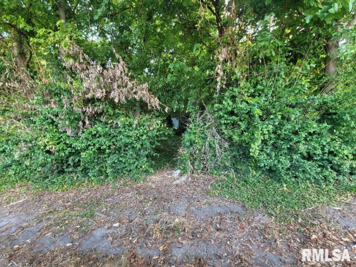 1116 HOLLAND Street, Harrisburg, Illinois 62946, 0 , 0 ,0,Land,For Sale,HOLLAND,0,RMAEB459740