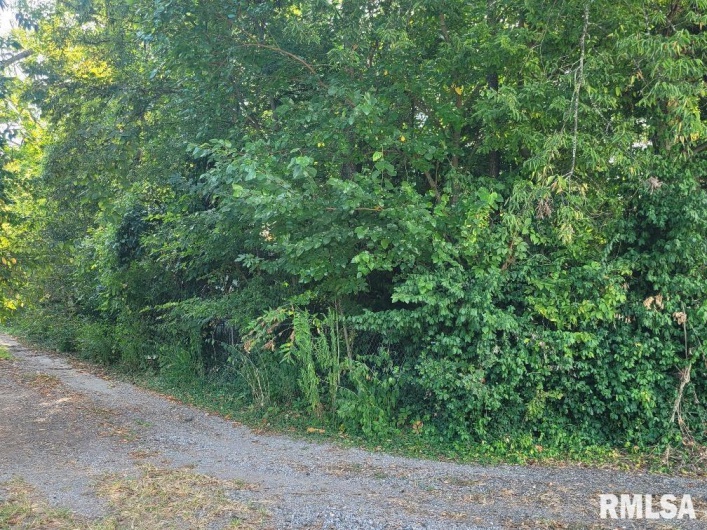 1116 HOLLAND Street, Harrisburg, Illinois 62946, 0 , 0 ,0,Land,For Sale,HOLLAND,0,RMAEB459740