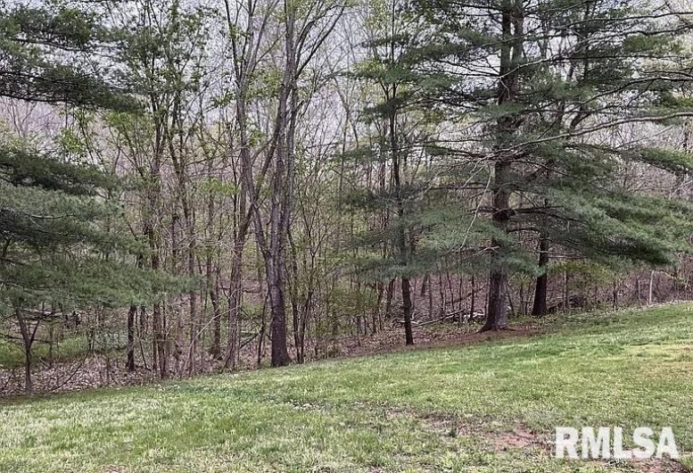 2705 Cobden School Road, Cobden, Illinois 62920, 3 Bedrooms Bedrooms, 0 ,2 BathroomsBathrooms,Residential,For Sale,Cobden School,0,RMAQC4267085