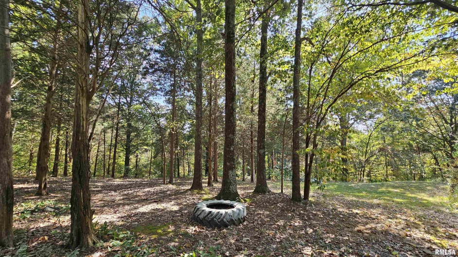 767 IL Route 1 N Highway, Elizabethtown, Illinois 62931, 3 Bedrooms Bedrooms, 0 ,2 BathroomsBathrooms,Residential,For Sale,IL Route 1 N,0,RMAEB459765