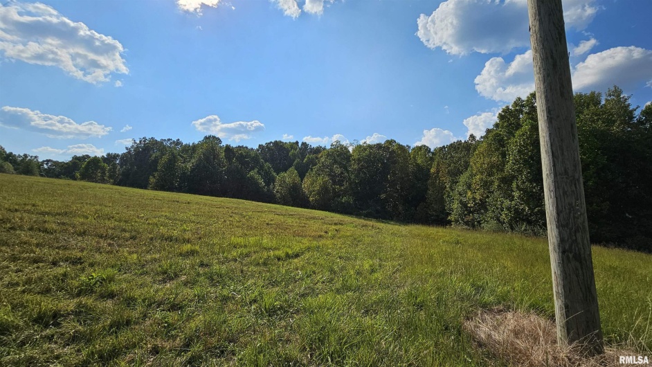767 IL Route 1 N Highway, Elizabethtown, Illinois 62931, 3 Bedrooms Bedrooms, 0 ,2 BathroomsBathrooms,Residential,For Sale,IL Route 1 N,0,RMAEB459765