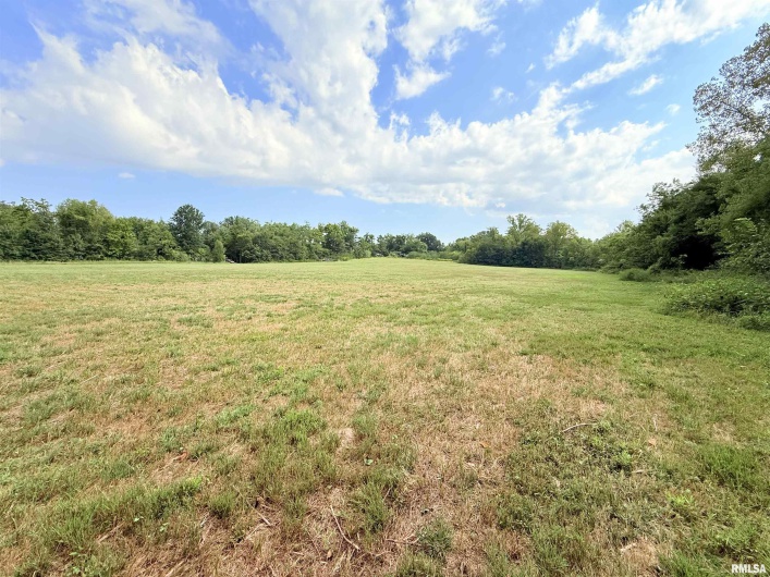 0000 DAVIS Street, Equality, Illinois 62934, 0 , 0 ,0,Land,For Sale,DAVIS,0,RMAEB459779