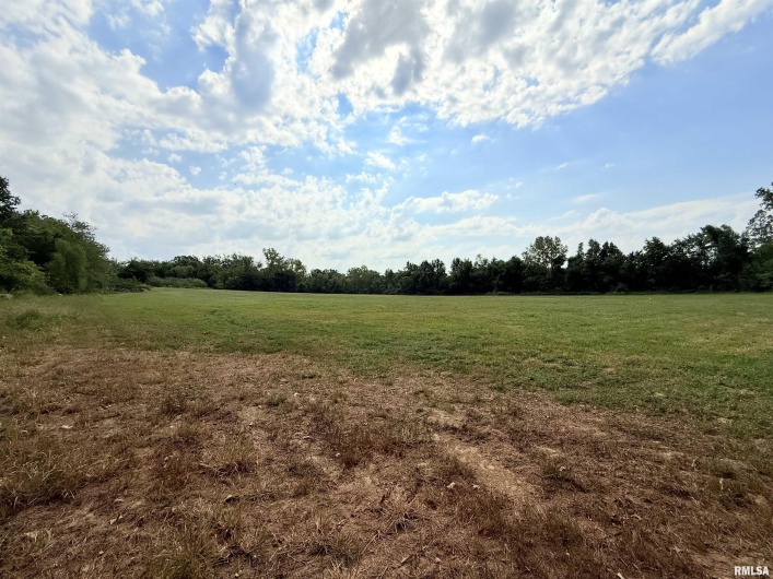 0000 DAVIS Street, Equality, Illinois 62934, 0 , 0 ,0,Land,For Sale,DAVIS,0,RMAEB459779