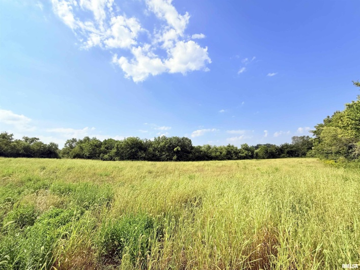 0000 DAVIS Street, Equality, Illinois 62934, 0 , 0 ,0,Land,For Sale,DAVIS,0,RMAEB459779