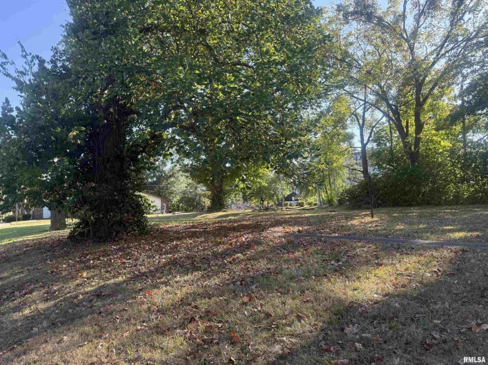 604 Rawlings Street, Carbondale, Illinois 62901, 0 , 0 ,0,Residential Income,For Sale,Rawlings,0,RMAEB459806