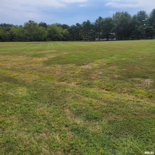 3775 ARIEL Drive, Murphysboro, Illinois 62966-0000, 0 , 0 ,0,Land,For Sale,ARIEL,0,RMAEB459809