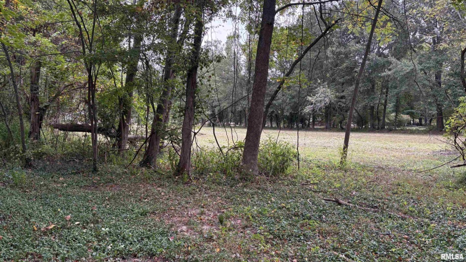 0000 BLOOMINGTON Streets, Marion, Illinois 62959, 0 , 0 ,0,Land,For Sale,BLOOMINGTON,0,RMAEB459812