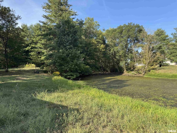 916 Paul Ice Road, Murphysboro, Illinois 62966, 2 Bedrooms Bedrooms, 0 ,2 BathroomsBathrooms,Residential,For Sale,Paul Ice,0,RMAEB459813