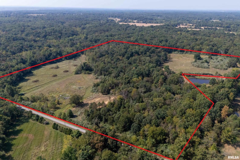 0123 Brushy Creek Road, Carrier Mills, Illinois 62917, 0 , 0 ,0,Land,For Sale,Brushy Creek,0,RMAEB459826