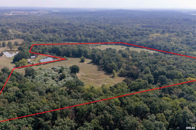 0123 Brushy Creek Road, Carrier Mills, Illinois 62917, 0 , 0 ,0,Land,For Sale,Brushy Creek,0,RMAEB459826