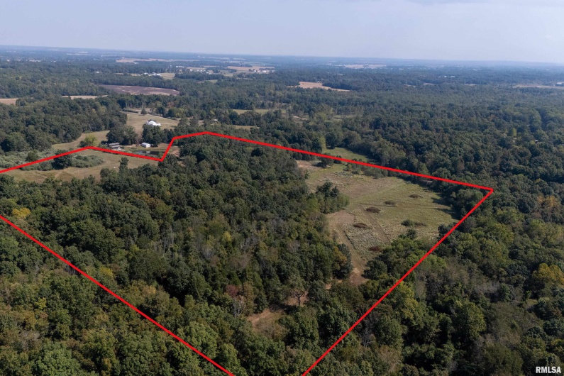 0123 Brushy Creek Road, Carrier Mills, Illinois 62917, 0 , 0 ,0,Land,For Sale,Brushy Creek,0,RMAEB459826