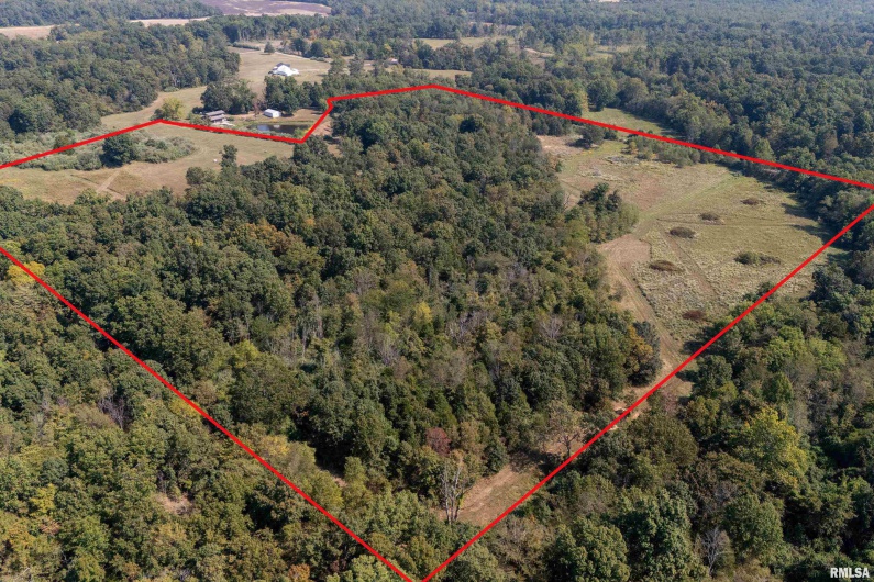 0123 Brushy Creek Road, Carrier Mills, Illinois 62917, 0 , 0 ,0,Land,For Sale,Brushy Creek,0,RMAEB459826