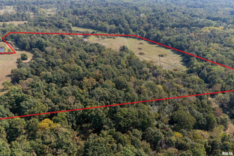 0123 Brushy Creek Road, Carrier Mills, Illinois 62917, 0 , 0 ,0,Land,For Sale,Brushy Creek,0,RMAEB459826